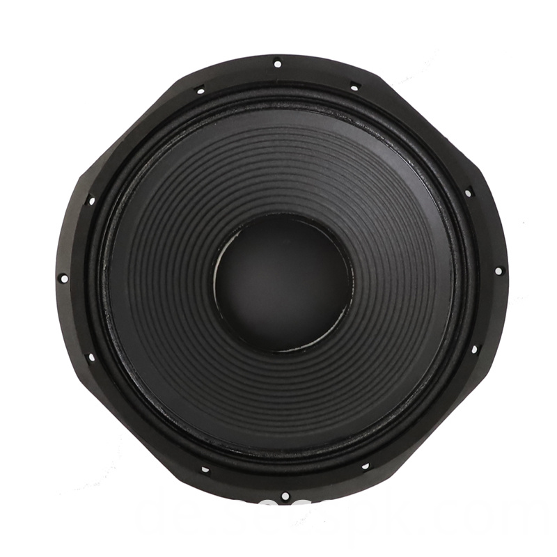 Hochwertiger Audio-PA-Lautsprecher High Quality Audio Pa Speaker